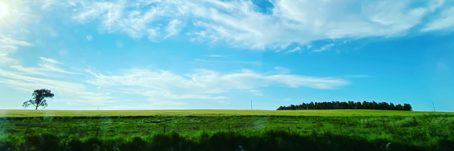 EthanWZh's profile banner image