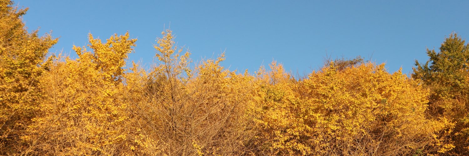 mh_8517's profile banner image