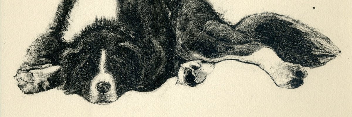 alysecbernstein's profile banner image