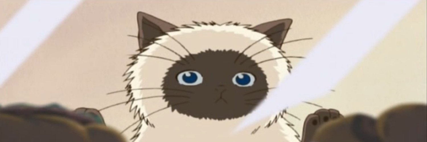 S2_BBIAK's profile banner image