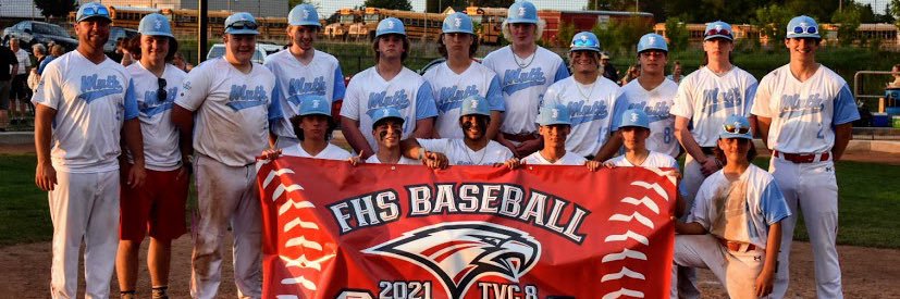Frankenmuth Baseball banner