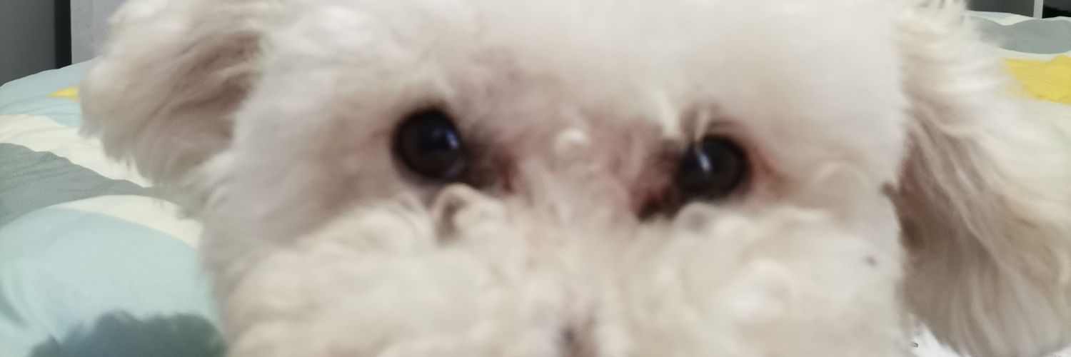 Moi_Moi95's profile banner image