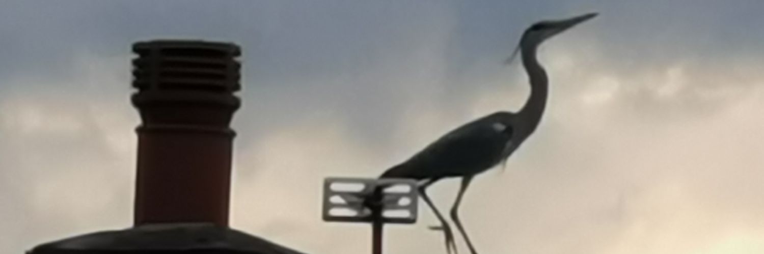 DJerrome's profile banner image