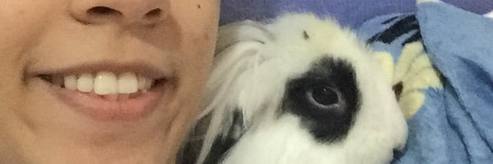 DianeHoping's profile banner image
