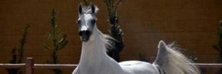 mode61628's profile banner image