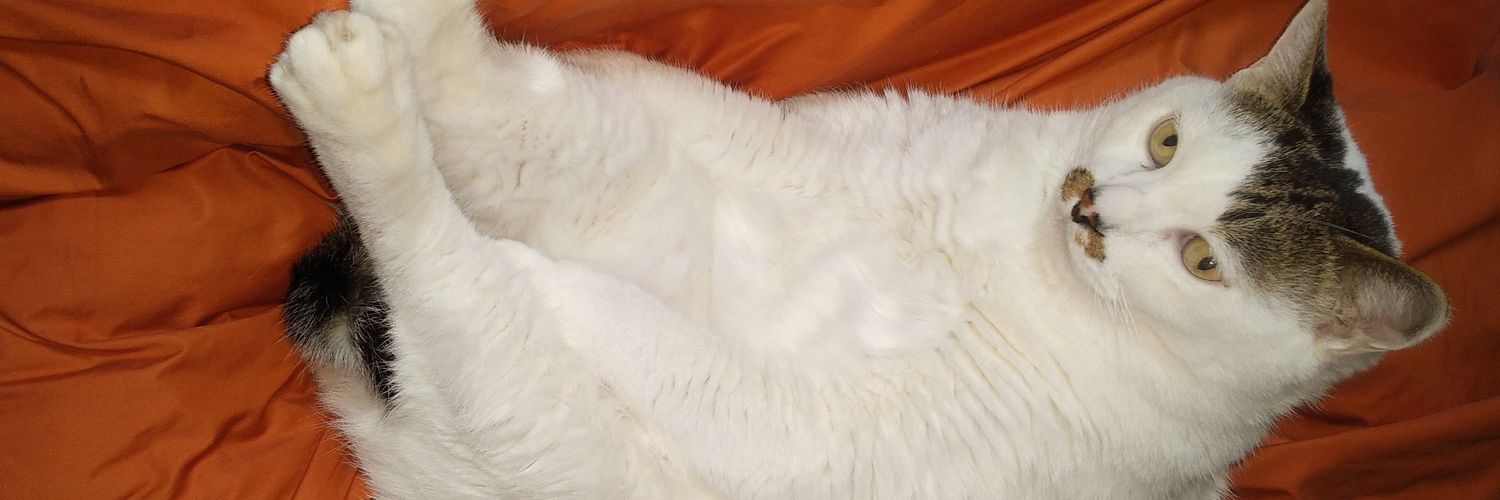 otmsn's profile banner image