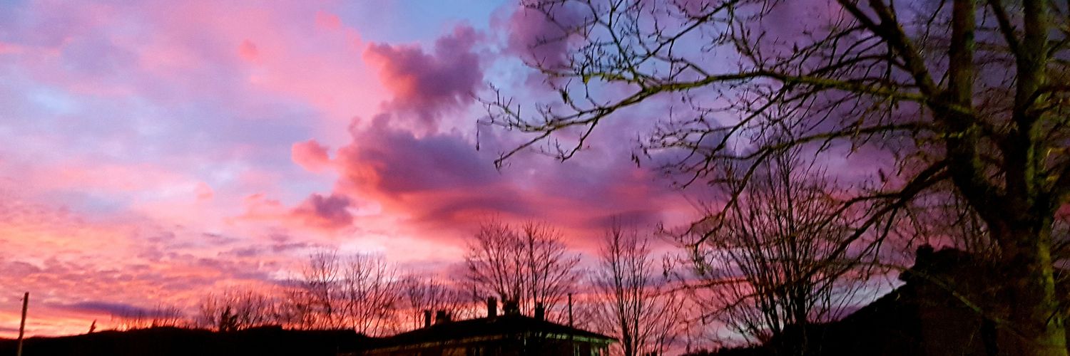 VickyBadillo1's profile banner image