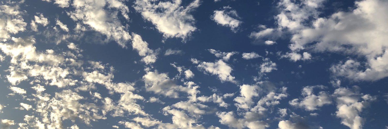 Adrian Wakeham banner