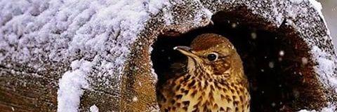 larastikat's profile banner image