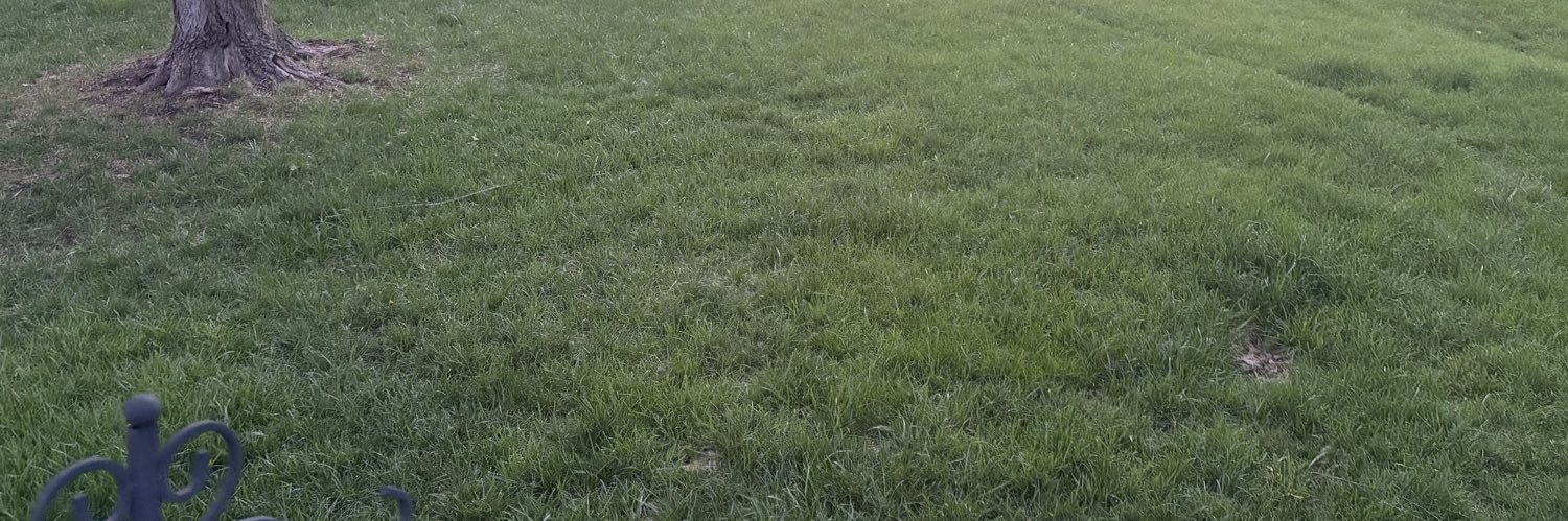 kcsp0rts's profile banner image