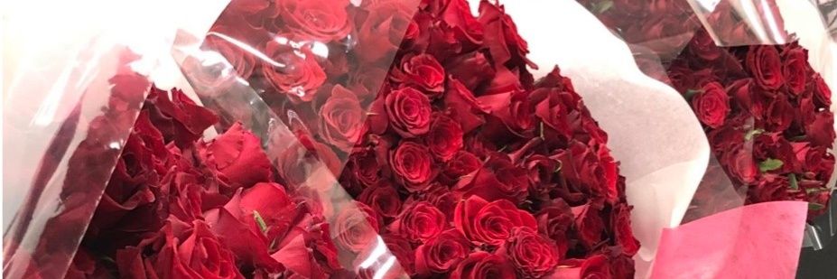 sorairo_00's profile banner image
