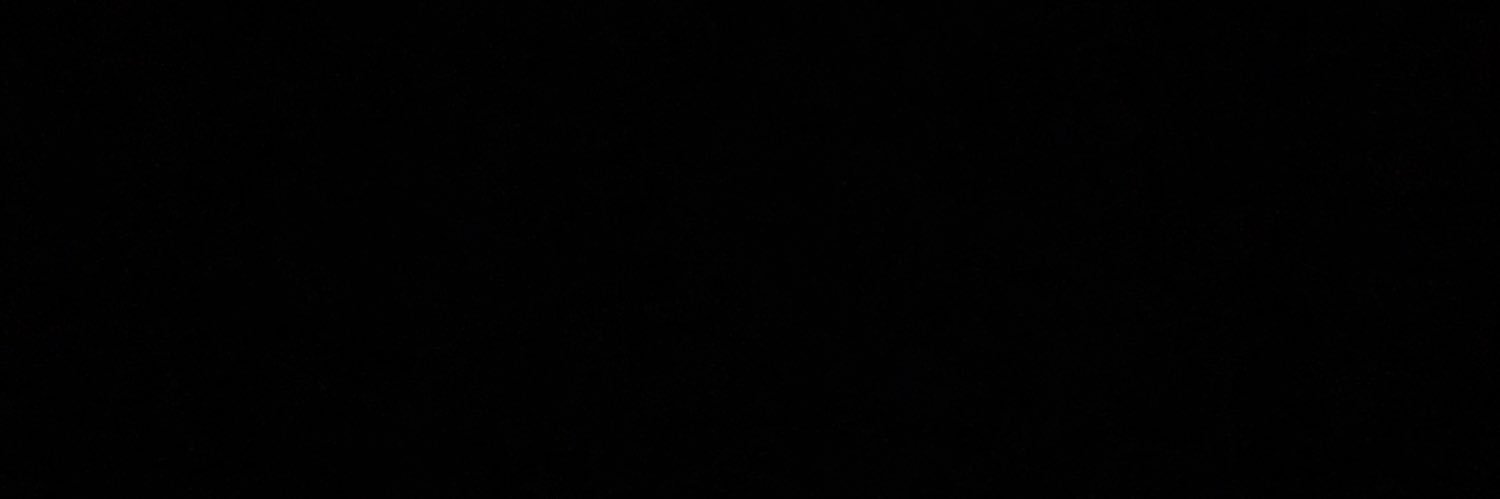 Madelyn Biediger banner