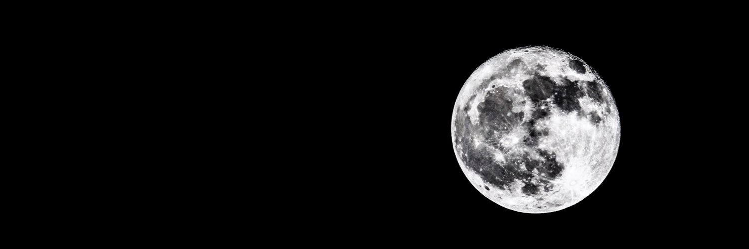 D.B.H. -Lone wolf- banner