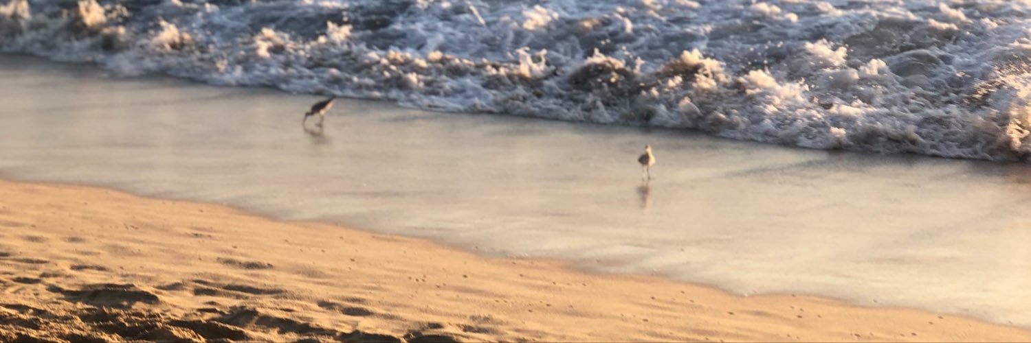 gledangie's profile banner image