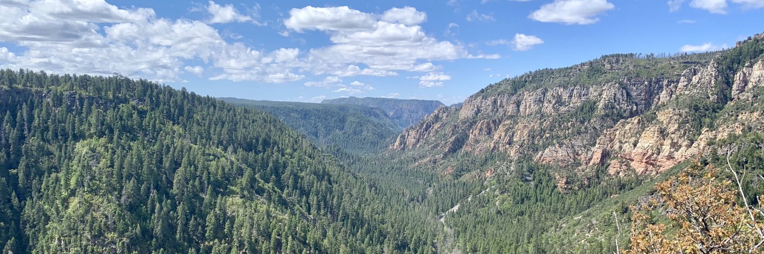 Jerry Peruchini banner