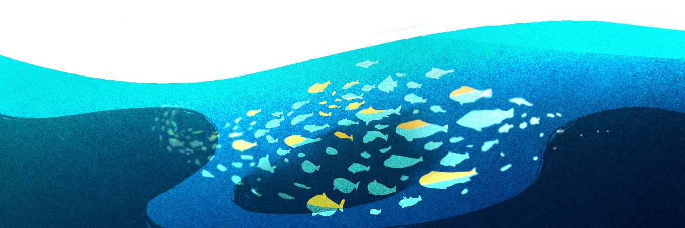 youareSWIM's profile banner image