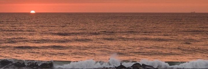 _alanlevy's profile banner image