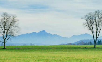 edi_plenden's profile banner image