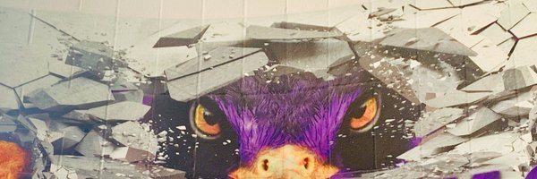 CMMS_Hawks Profile Banner