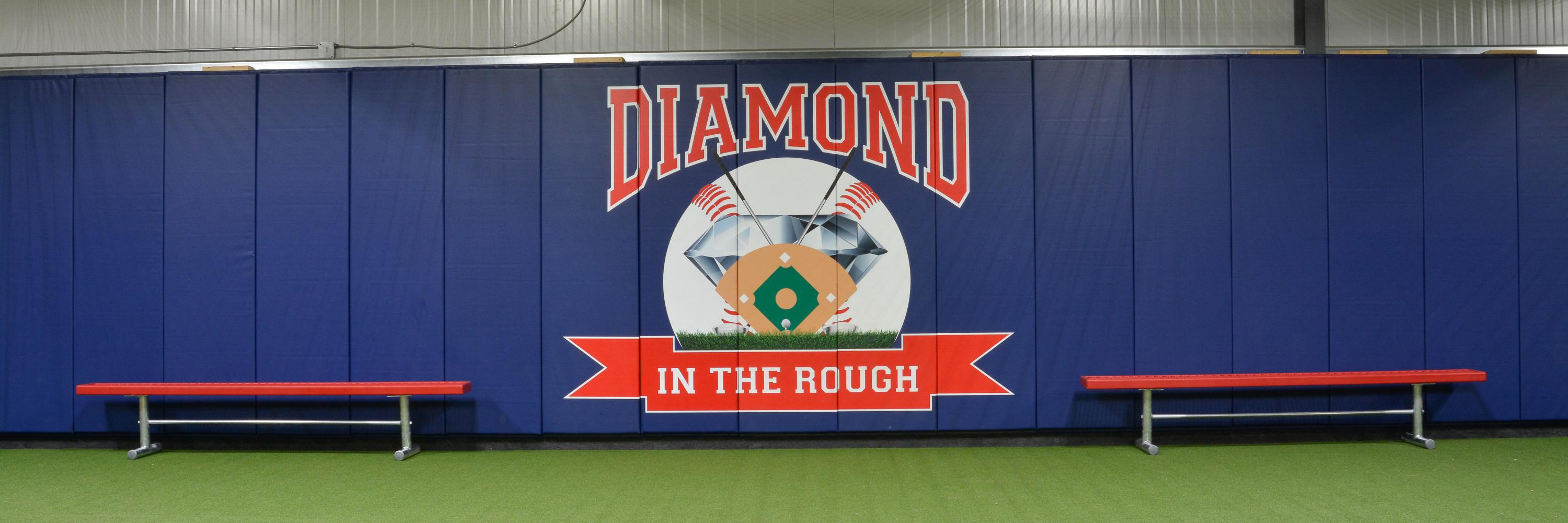 Diamond in the Rough banner