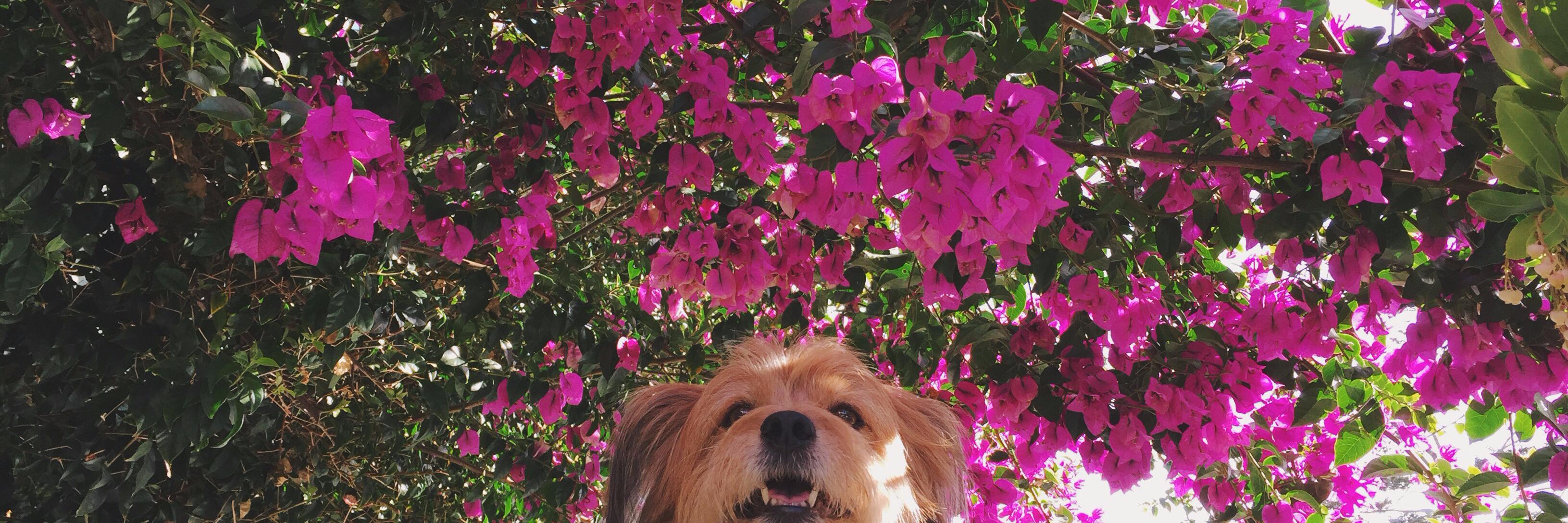 AllyEgge's profile banner image