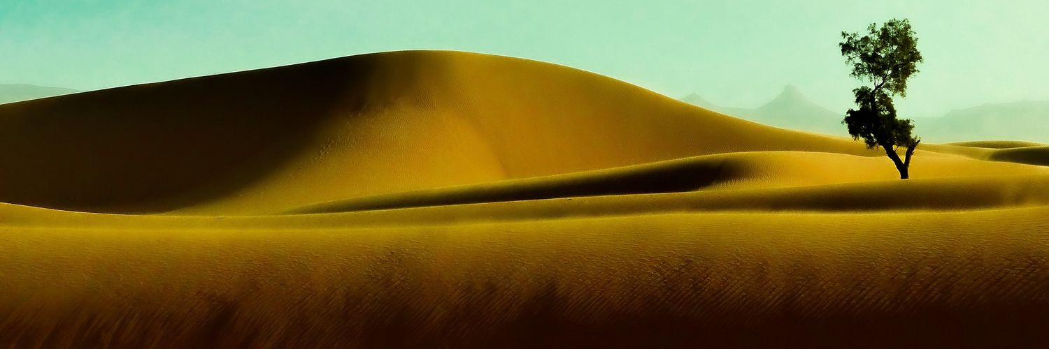 seb_licois's profile banner image