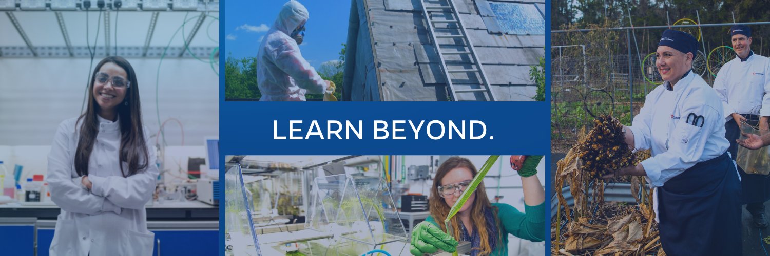 UF Professional and Workforce Development's banner