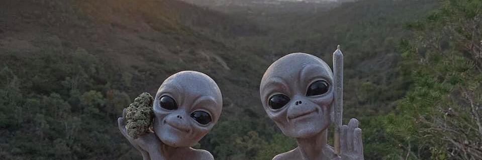 SativaBadu's profile banner image