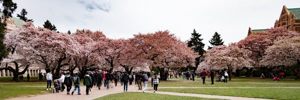 UW Psychology Profile Banner