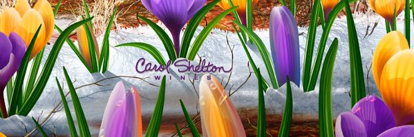 Carol Shelton Wines banner