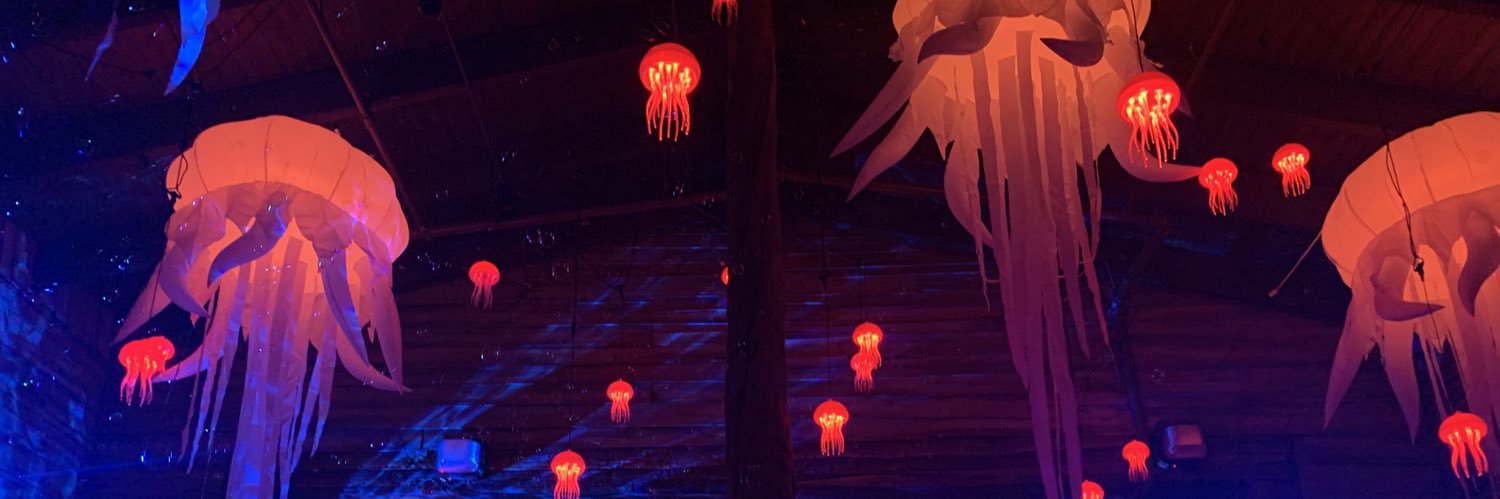 Janet12942's profile banner image