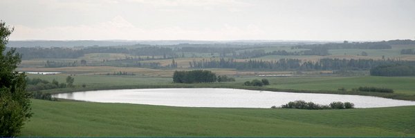 CDNag Profile Banner