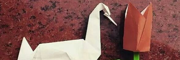 igorjosepx's profile banner image