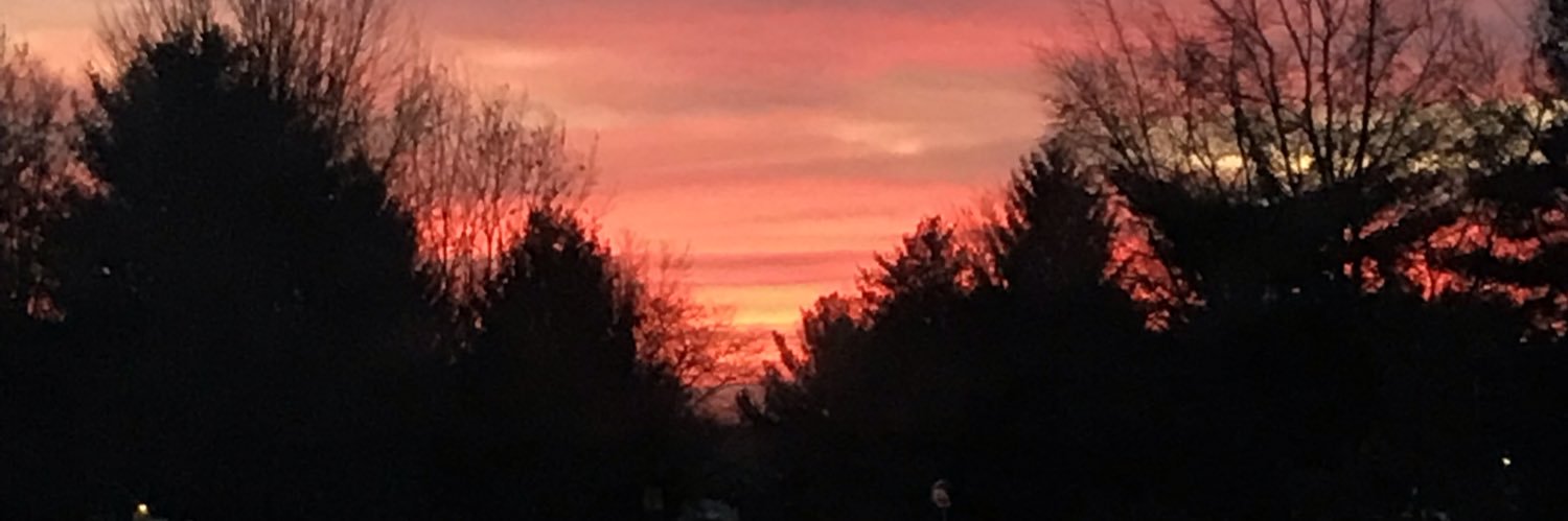 Kerry Pickworth banner