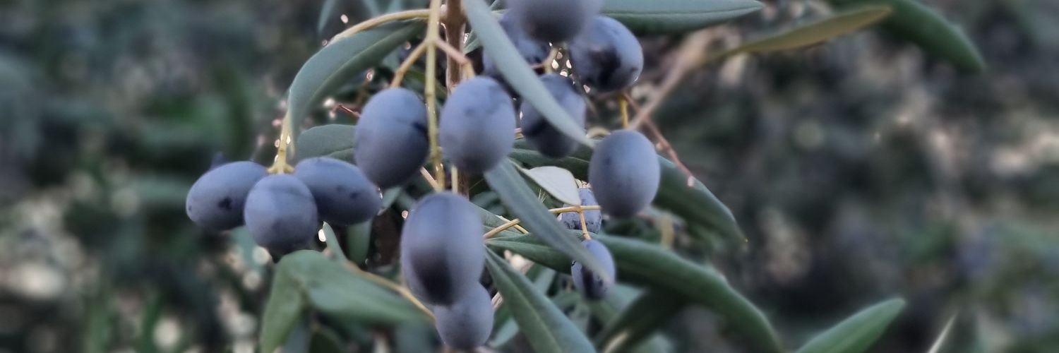 Andrés de 🇮🇱🇨🇱❤️ e hijo de Dios banner
