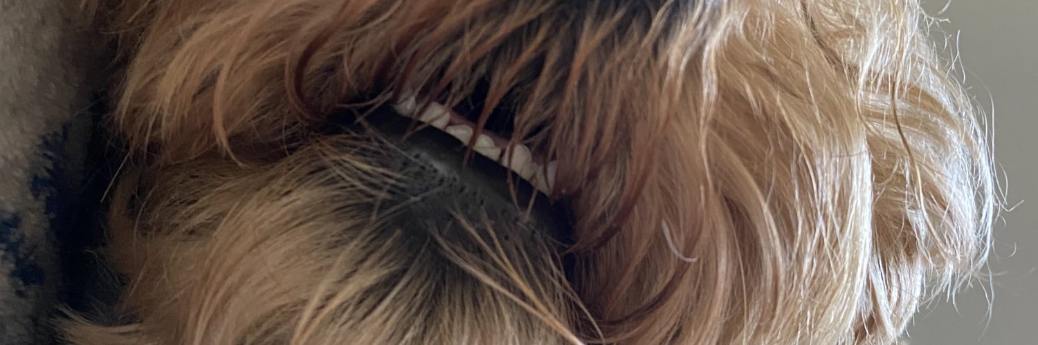 haughtcaroline's profile banner image