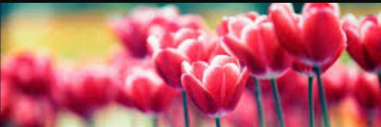 daisy_rmz's profile banner image
