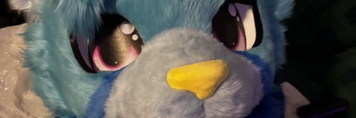 Ayaerus🏳️‍🌈🔜Home :( banner