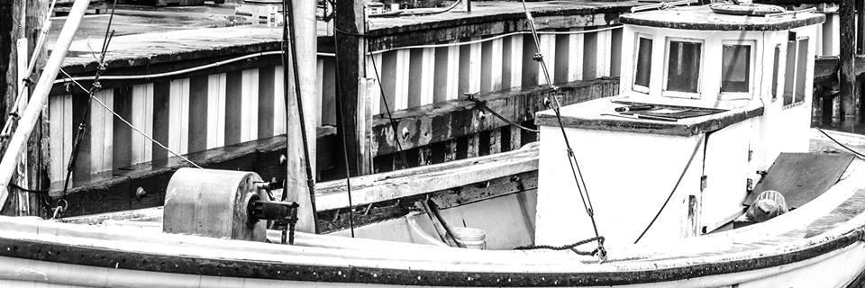 theshellfishco's profile banner image