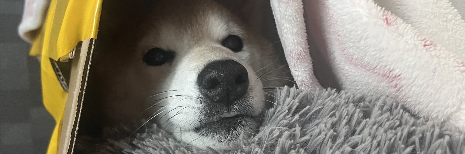 kimu0000's profile banner image
