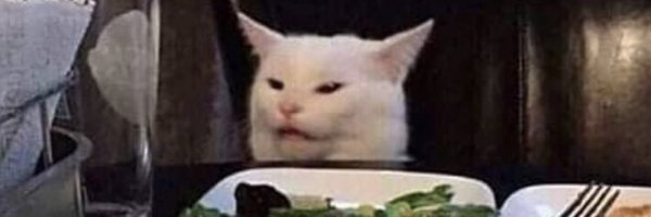 allykerans Profile Banner