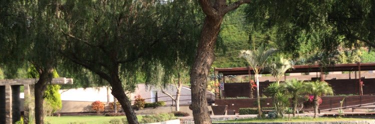 8aleonardo8a's profile banner image