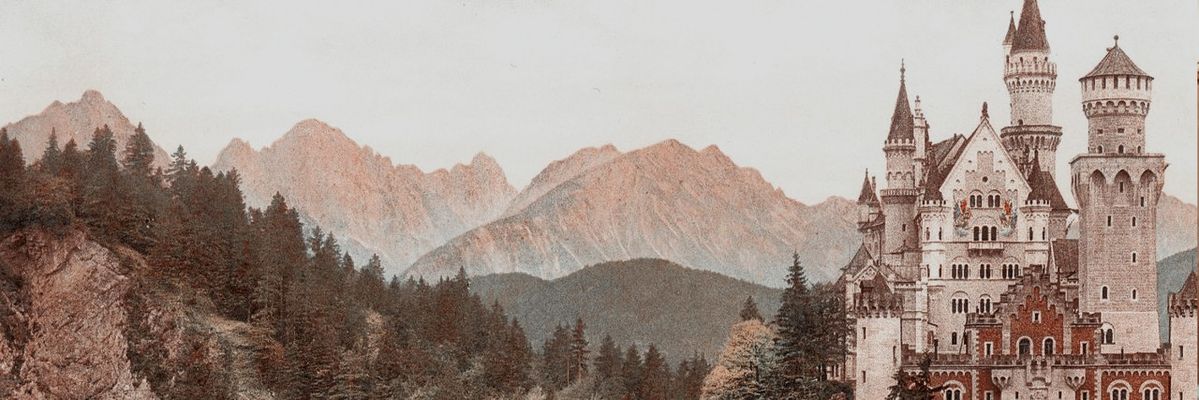 𝐋𝐞𝐧𝐚 𝐀𝐬𝐡𝐟𝐨𝐫𝐝. banner