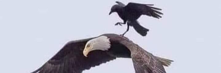 Akram Algendy -اكرم الجندي banner