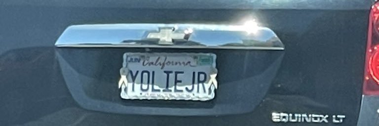 April Roberta Ludgate-Karate-Dwyer banner