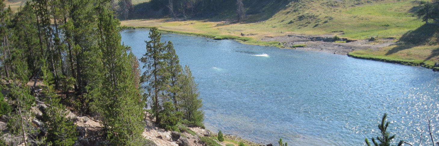 Meredith Larson banner