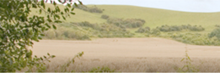 BartonLeClayPC's profile banner image