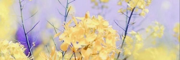 samythical24601's profile banner image