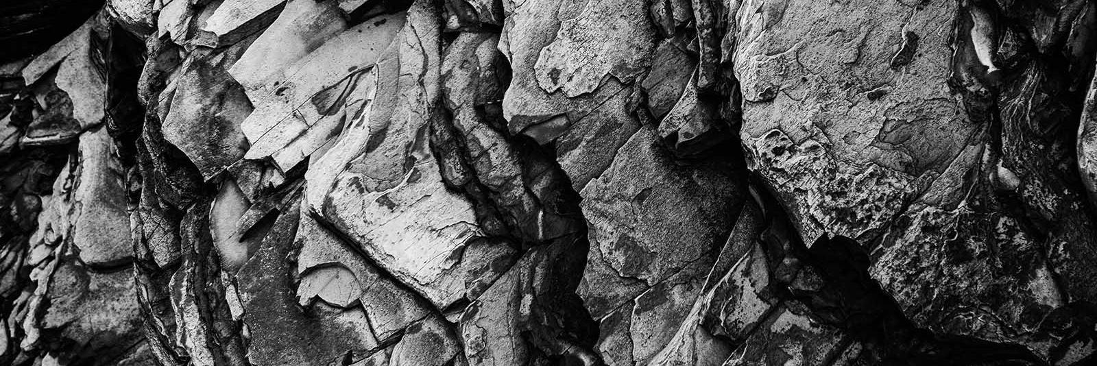 aurorabeer's profile banner image