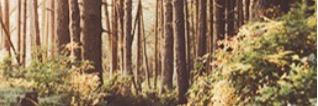 DevotedGoddess's profile banner image